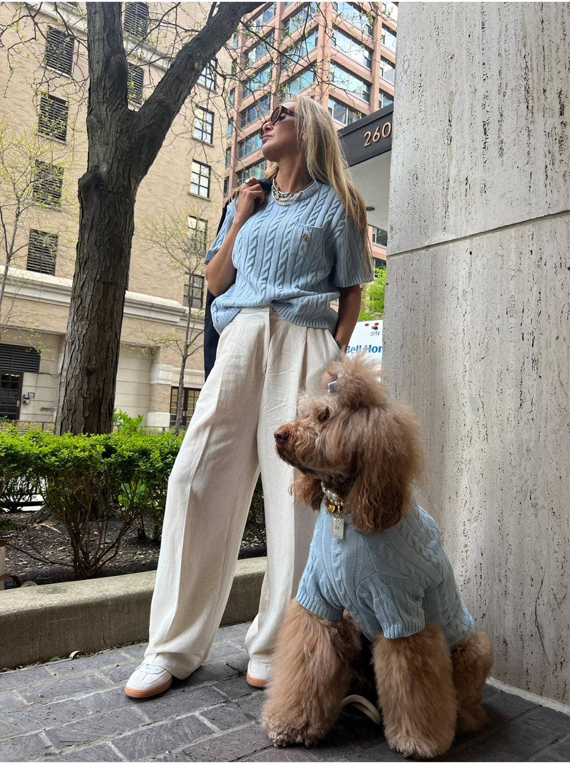 GIGI’S USA - Wholesale Pet Shirt - Dog - Cablette Blue Dog Shirt4