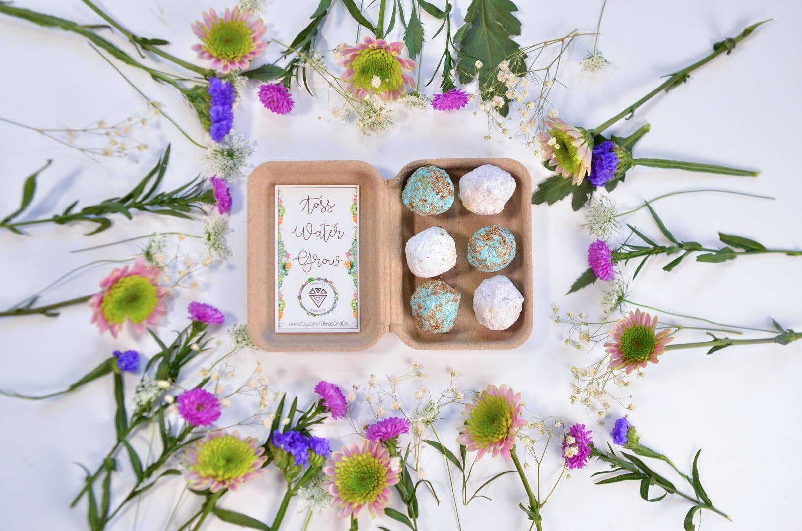 Almas And Co – wholesale Plant seeds – Wildflower Seed Bomb Box7