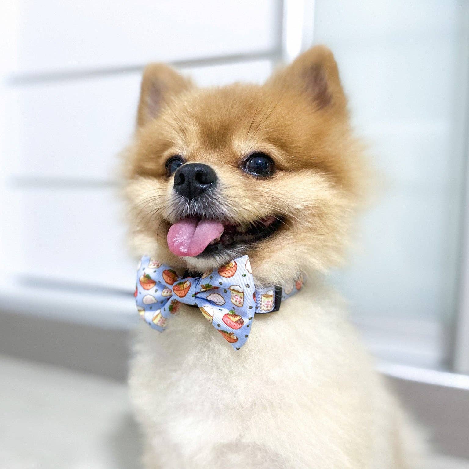 Korriko Pet Supply - Wholesale Pet Collar - Dog - Dog Collar - Ramen2