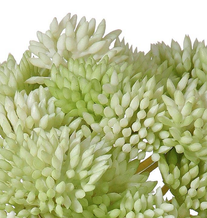 Will's Company - Wholesale Artificial Plant - Soft Touch Sedum Cluster (Ball) Stem - 2 color options3