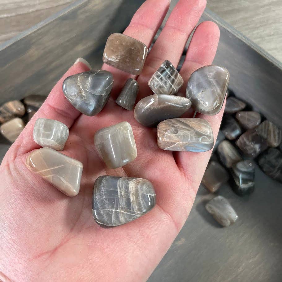 Keystone Crystals - Wholesale Spiritual Stone/Crystal - Black Moonstone Tumbled Stones – 1 lb Wholesale Lot5