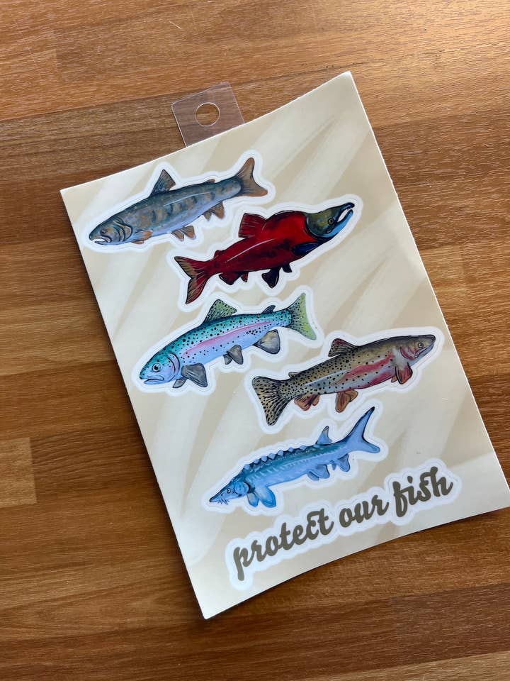 "Protect our Fish" Sticker Pack for wholesale by Jess Wagner Art