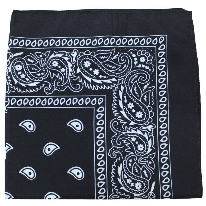 10-pack Jordefano Paisley 100% bomull dubbelsidig bandana - 22 tum för wholesale av Auction Clearance