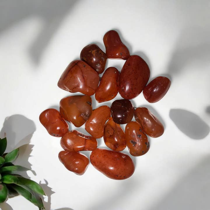 Cornalina Rolada – Vitalidade e Paixão por atacado de Magic Moon