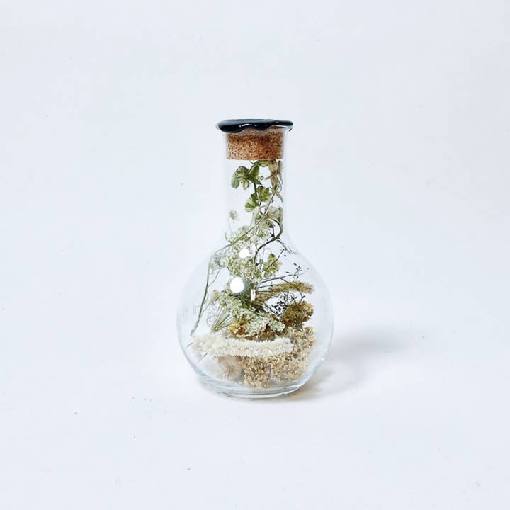 Field of Hope – Großhandel Getrocknete/gepresste Blumen – Getrocknete Blumen im Glas, 250 ml Weißwachs