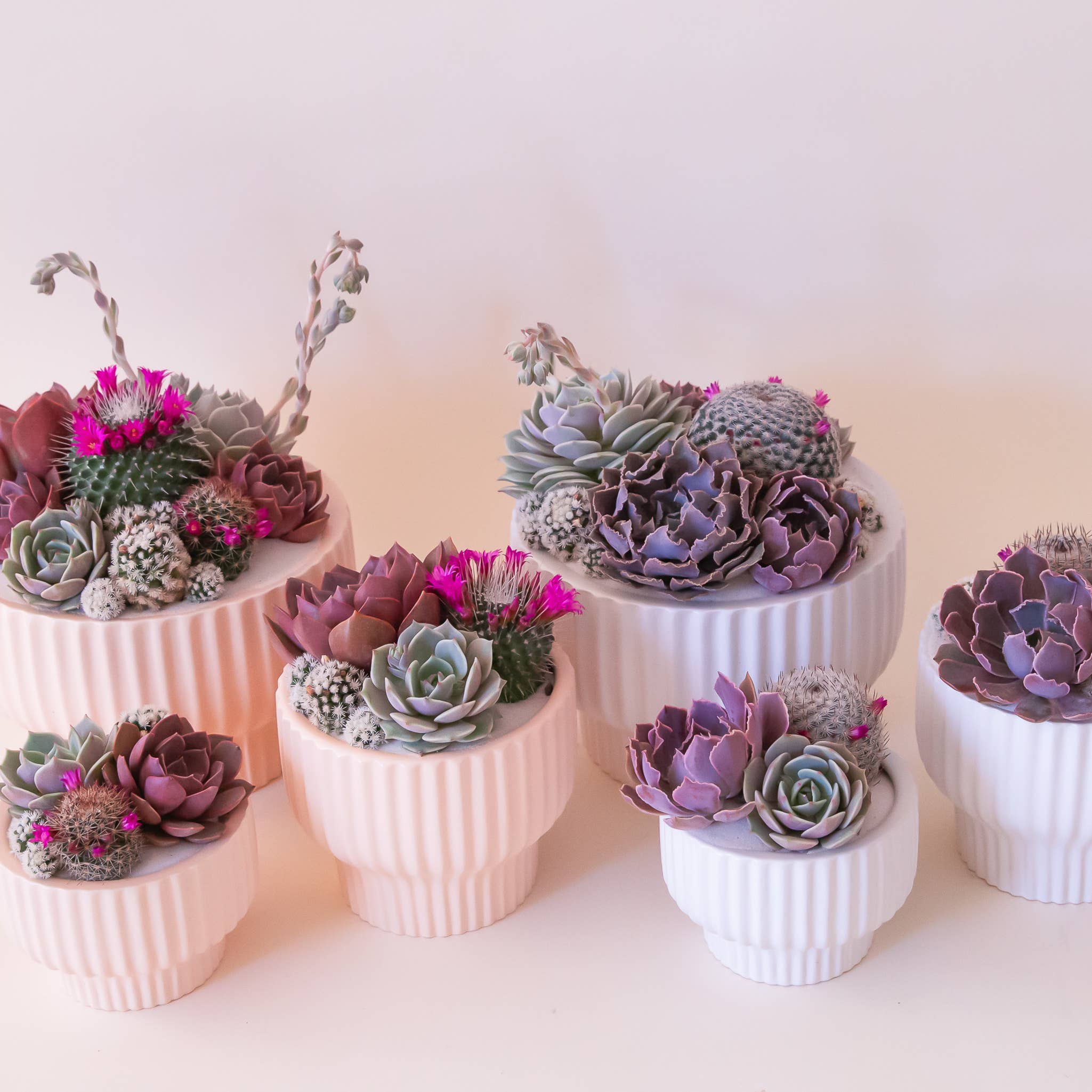 Jungle Club - Wholesale Plantenpot - Presley Sokkel Bloempot | Ballerina1