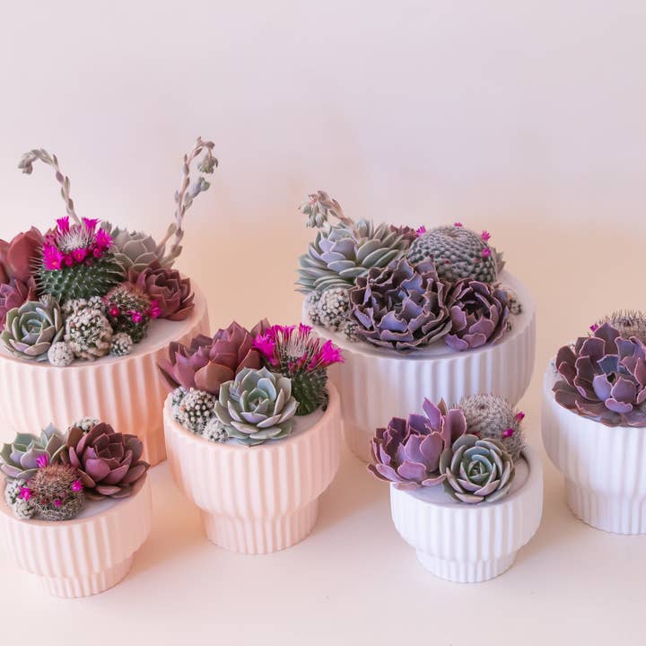 Jungle Club - Wholesale Plantenpot - Presley Sokkel Bloempot | Ballerina1