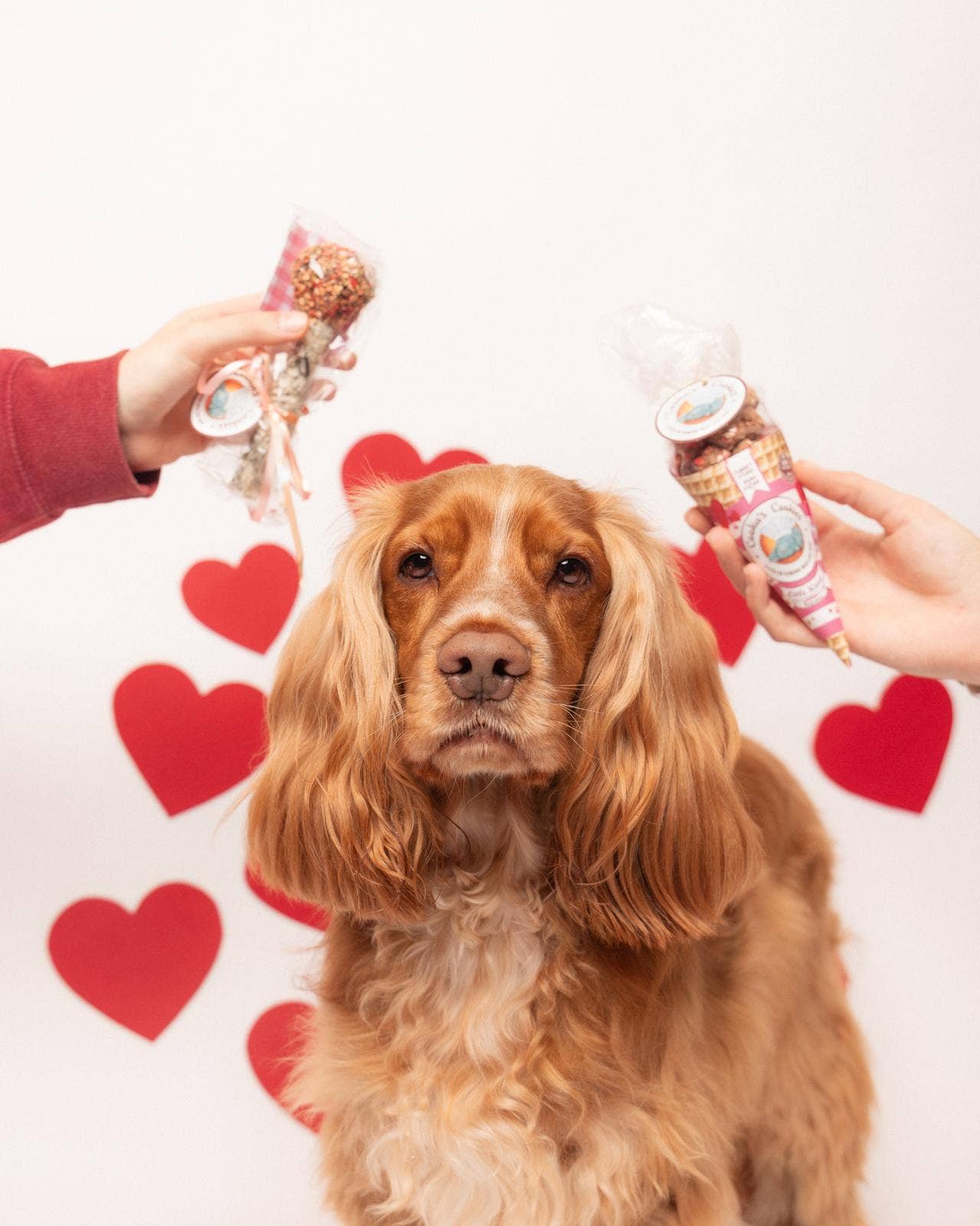 Cooka's Cookies - Wholesale Pet Treats - Dog - Pink kisses - Turkey & Tuna Dog Treats 3