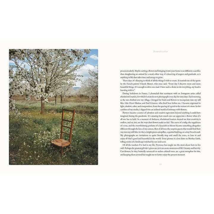 Simon & Schuster - Wholesale Book - Adult - Flowers of Provence by Jamie Beck