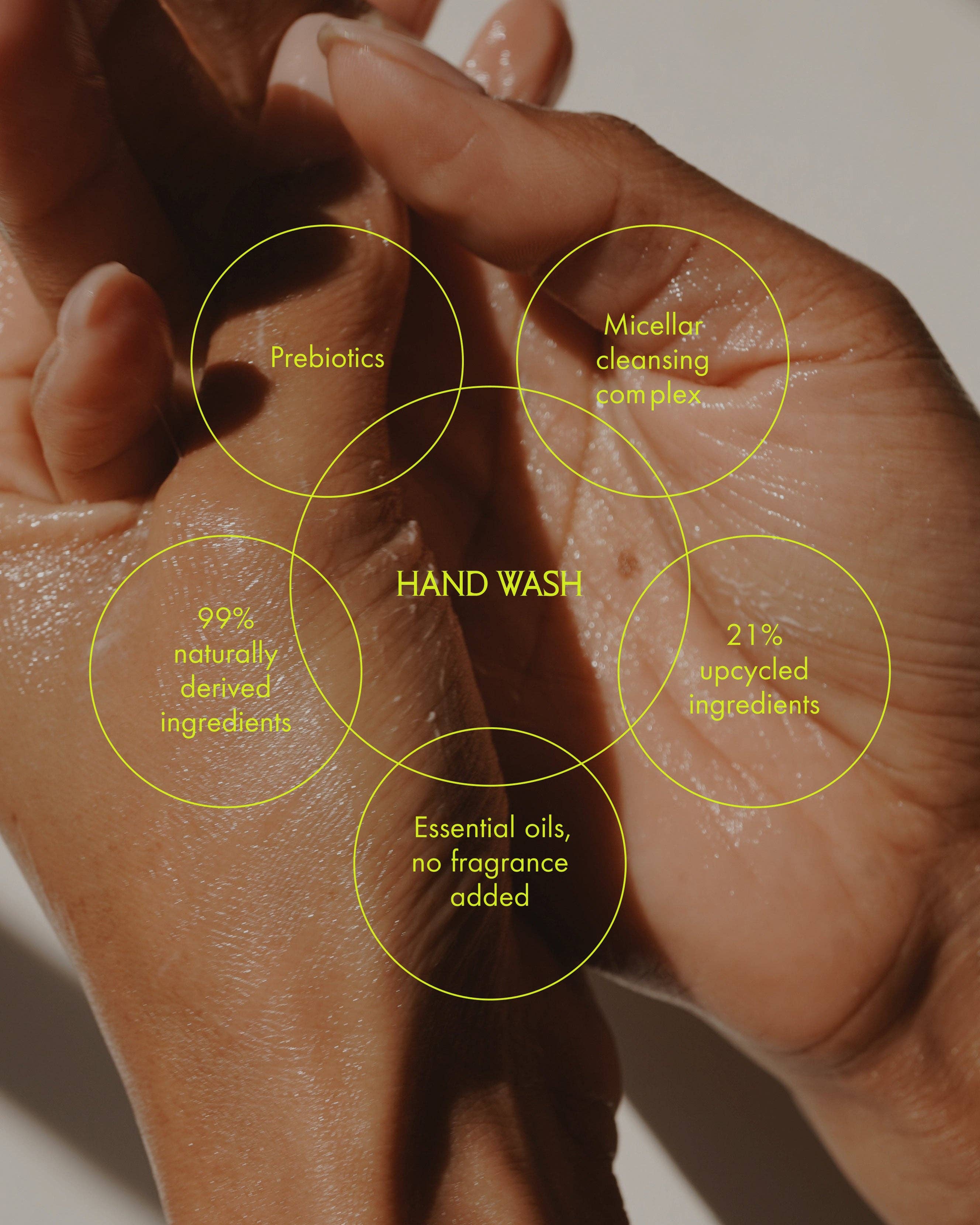 Sans Savon - Vente Savons/lotions pour les mains - Savon pour les mains, Mélange de la forêt boréale de Charlevoix (500 ml)3