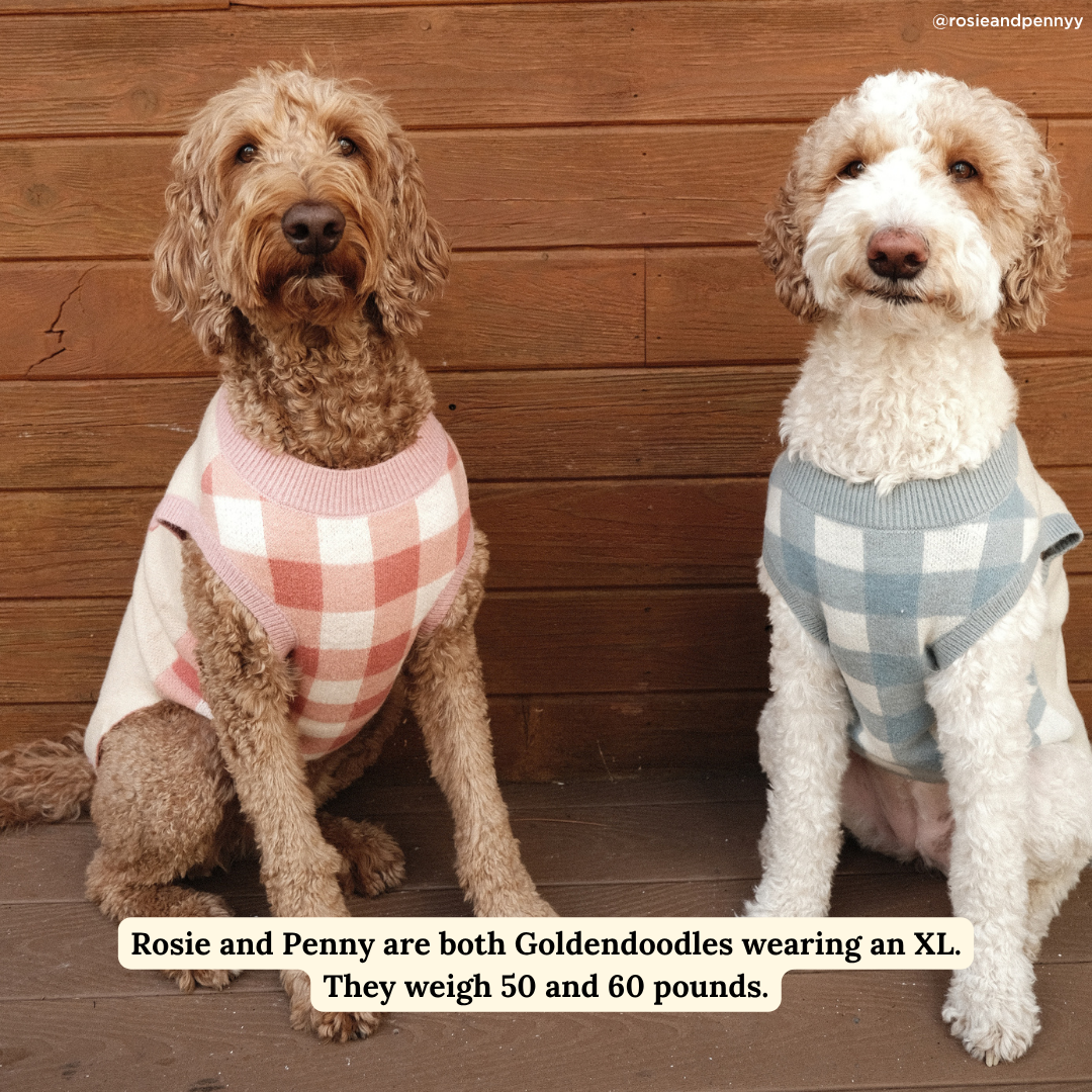 Lucy & Co. - Wholesale Pet Sweater - Dog - Take a Bow Sweater3