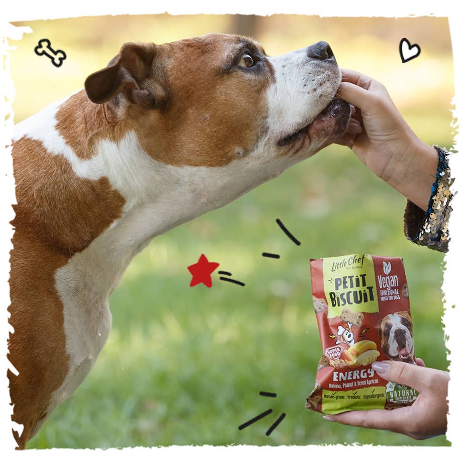 United Pet Brands - Wholesale Hondenkoekjes - Hond - Vegan natuurlijke functionele snack voor energie, graanvrij - 100 g2