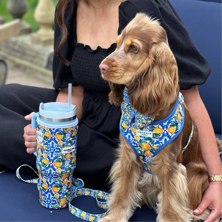Cocopup London - Wholesale Pet Harness - Dog - Amalfi Lemon Adjustable Neck HARNESS