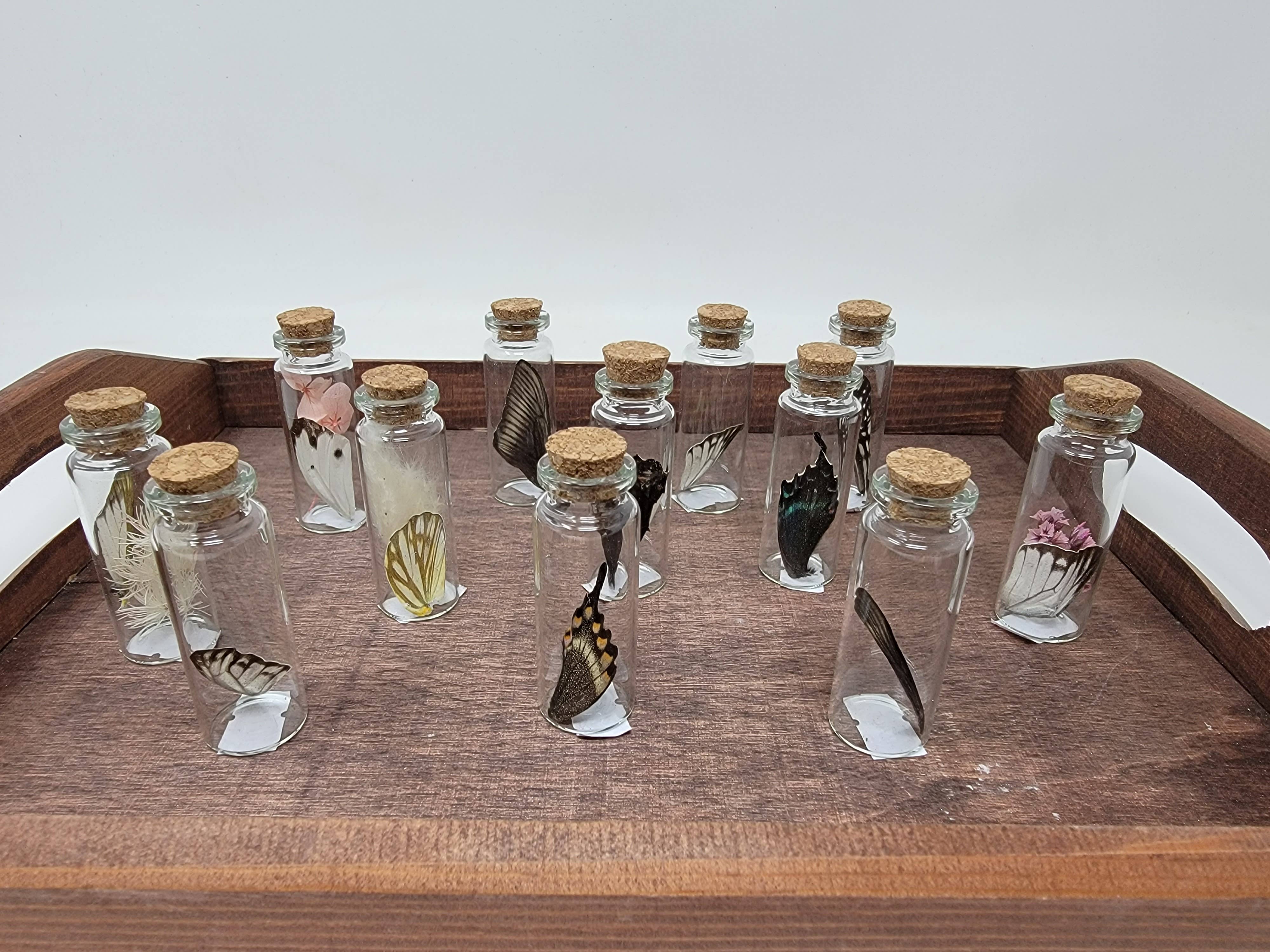 The Cozmic Cauldron - Vendita all'ingrosso Decorazioni da tavolo - Ali di farfalla decorative in boccette1