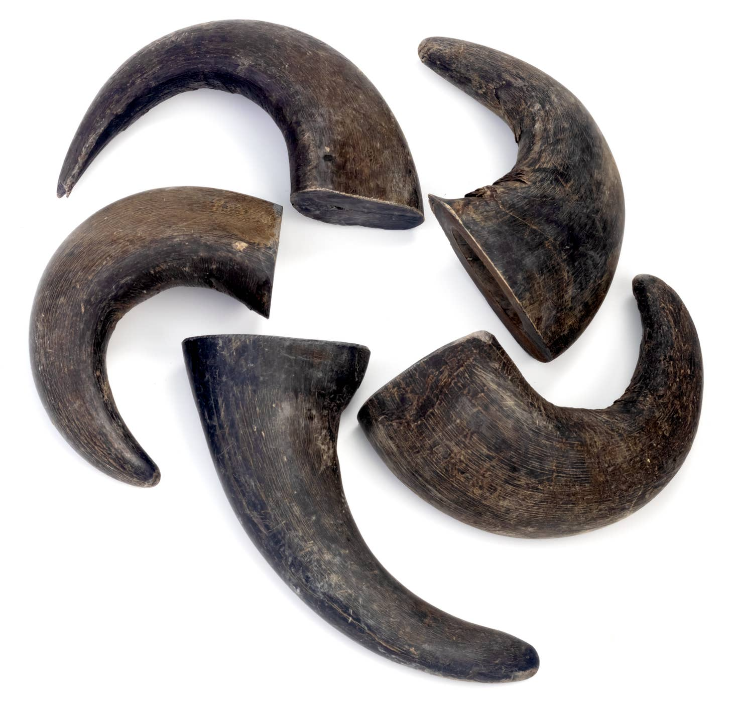 Durkha Dog Chew - Wholesale Pet Chew Toy - Dog - 3.5 Oz Durkha Buffalo Horn - Small4