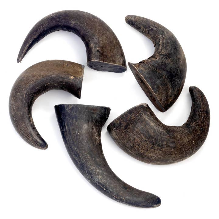 Durkha Dog Chew - Wholesale Pet Chew Toy - Dog - 3.5 Oz Durkha Buffalo Horn - Small4