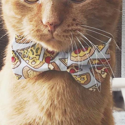 Noeud papillon Pizza Dog pour la vente par Winthrop Clothing Co.