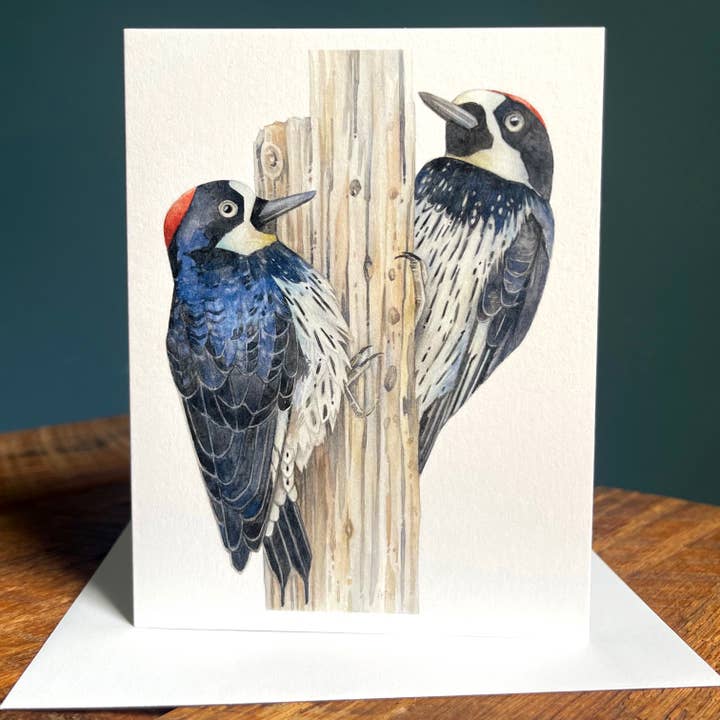 Acorn Woodpeckers - Blank Note Card for wholesale by Amy Shawley Paquette