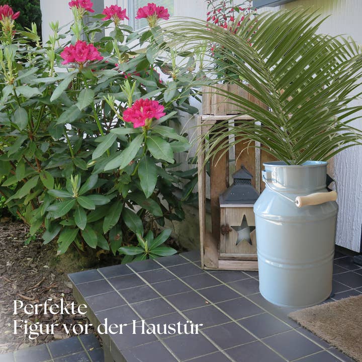 Waldsehnen - Art of Handmade – Vaso de plantas por atacado – Recipiente de zinco natural cinza para planta e leite5