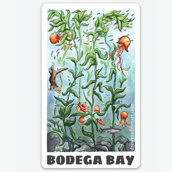 Bodega Bay Sea Lion for wholesale by Drew Madden Art Stickers