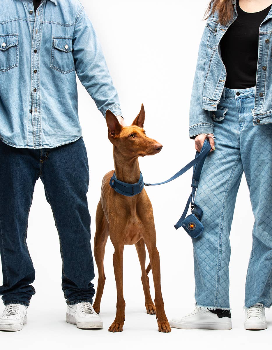 United Pets - Wholesale Pet Leash - Dog - Imbracatura imbottita morbida per cani in jeans13