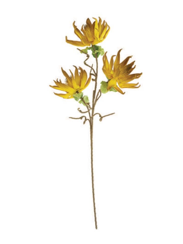 BOTANICA #3251 44"t for wholesale by Kalalou