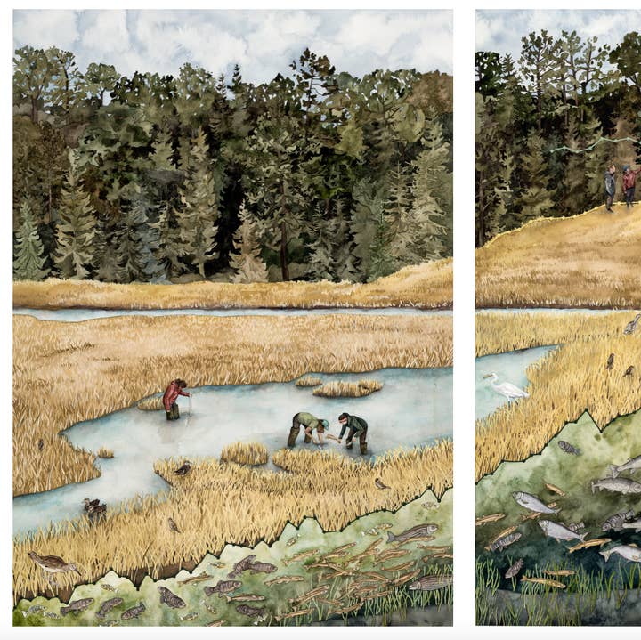 Jill Pelto Art - Wholesale Art Print - Coastal Marsh New England Art Print Set8