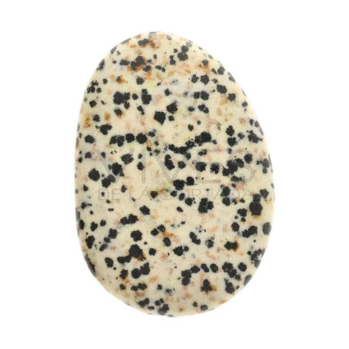 Vives de la Cortada S.L - Wholesale Spiritual Stone/Crystal - Flat-shaped Dalmatian or Dalmatian jasper0