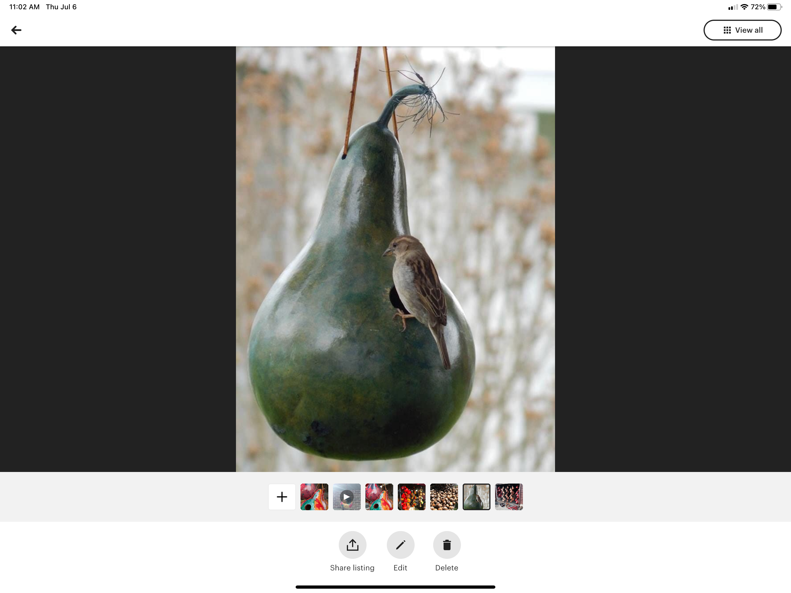 YellowSeventeen – wholesale Bird house – Gourd Birdhouse Stained 7 Colors Case of 106