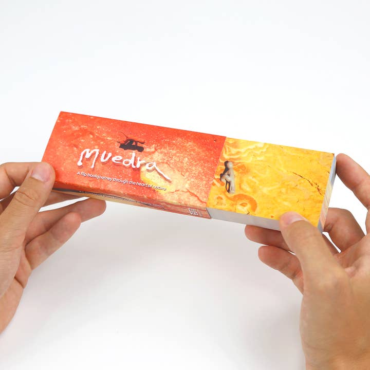 Flipboku - Wholesale Display Book - Muedra Flipbook4