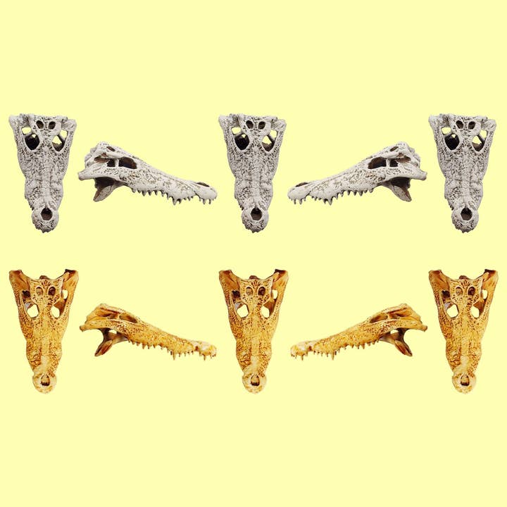The Scale Grail - Wholesale Decorative Figurine - Crocodile Skull - 1:12 scale replica reptile skull for diorama, dollhouse, terrariums, art craft supplies curiosities oddities (set of 5)