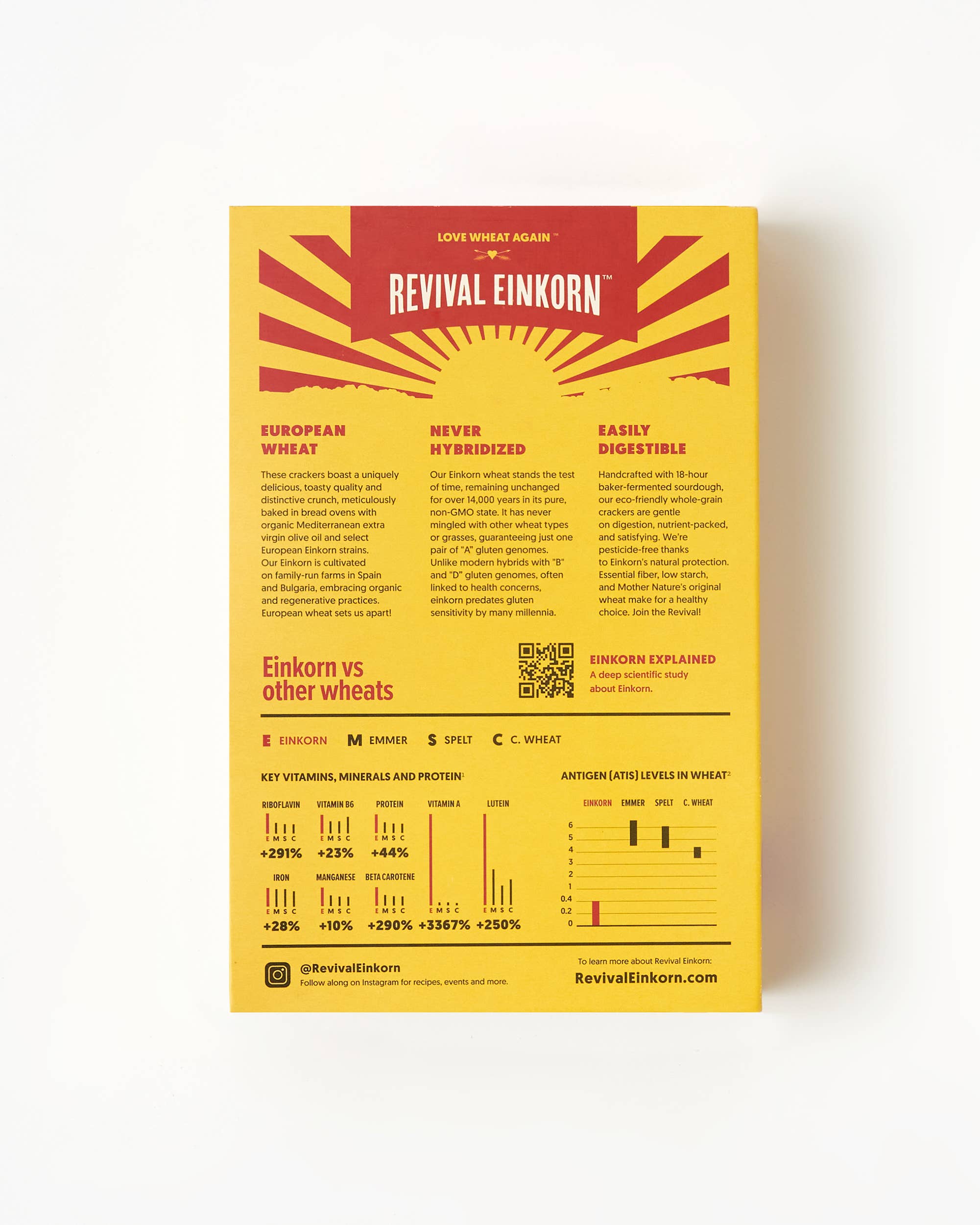 Revival Einkorn - Wholesale Crackers - Roasted Garlic & Chile5