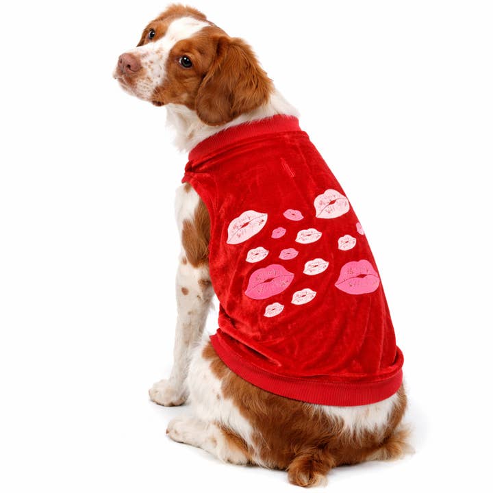 Alla hjärtans dag sammetströja valpkyssar för wholesale av House of FurBaby