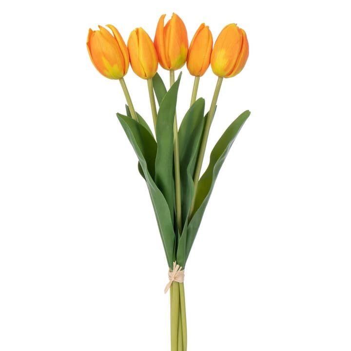 Vickerman 16"H Orange Cream Tulip Bundle of 5 2/Bg for wholesale by Vickerman