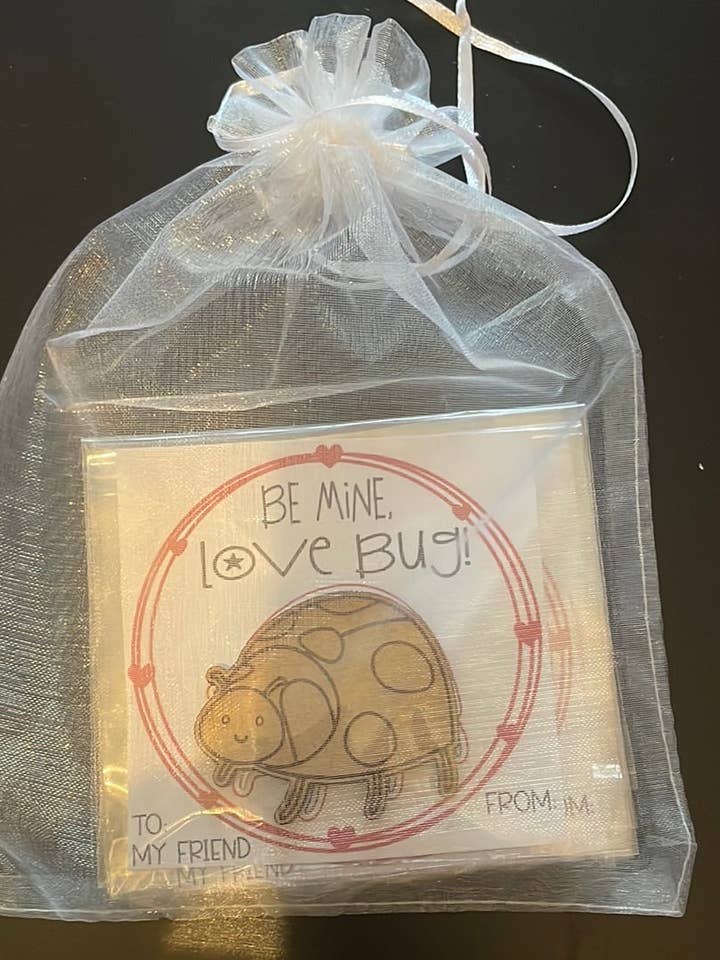 Pocket Buddy Valentines per la vendita all'ingrosso da parte di LivaBella Designs