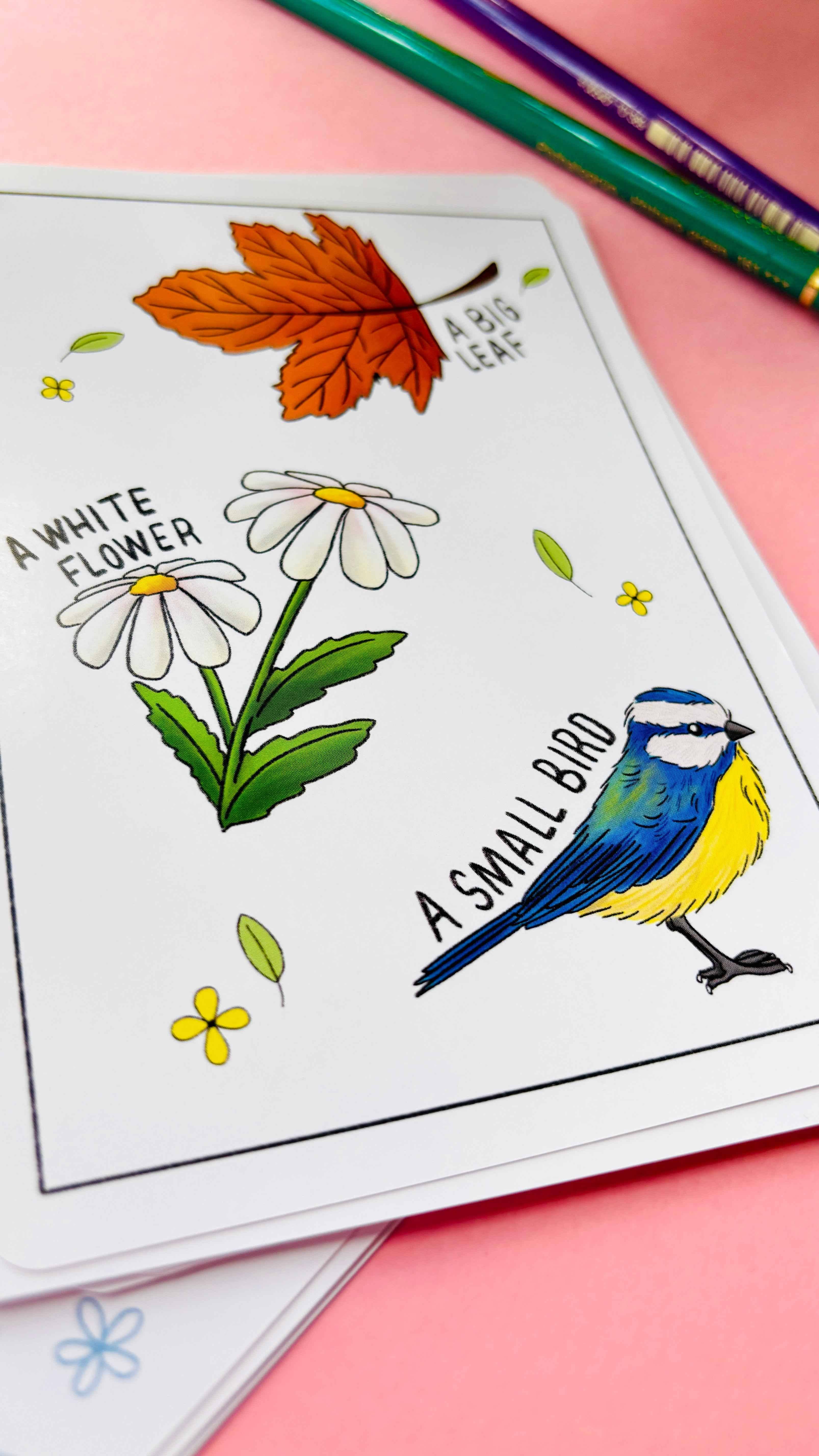 Pixiecraft - Wholesale Learning Cards - Kids & Baby - Nature Explorer Scavenger Hunt Cards- Illustrated Educational Activity Cards for Kids3