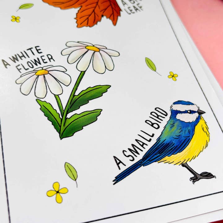 Pixiecraft – wholesale Learning cards – Child & baby – Nature Explorer Scavenger Hunt Cards- Illustrated Educational Activity Cards for Kids3