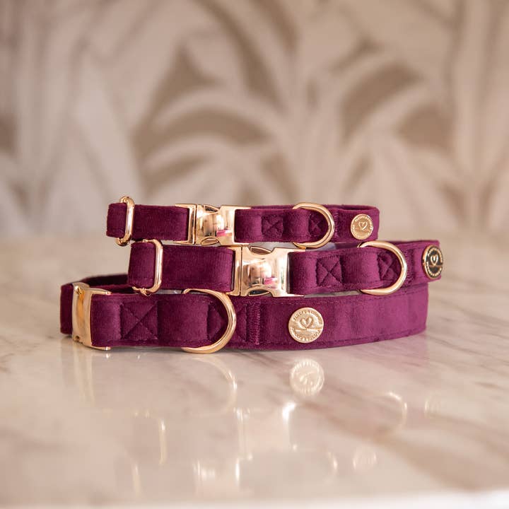 Bibi Collar and other Purchase Wholesale bibite prezzo. Free Returns & Net 60 Terms on Faire trending on Faire.