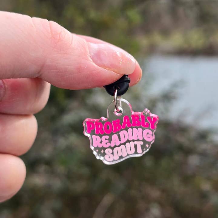 Awfullynerdy.co - Wholesale Keychain - Unisex - Probably Reading Smut Dust Plug USB-C