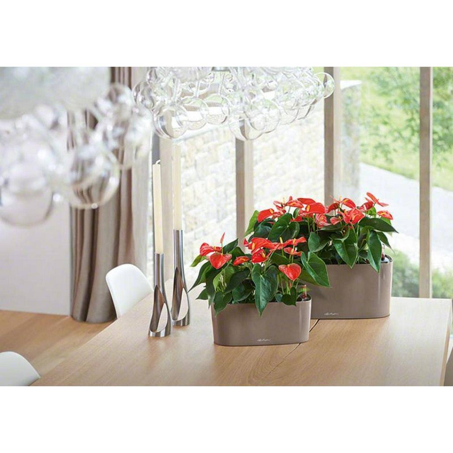 Lechuza Self Watering Planters - Vendita all'ingrosso Vasi per piante - LECHUZA DELTA Fioriera da tavolo/davanzale in poliresina8