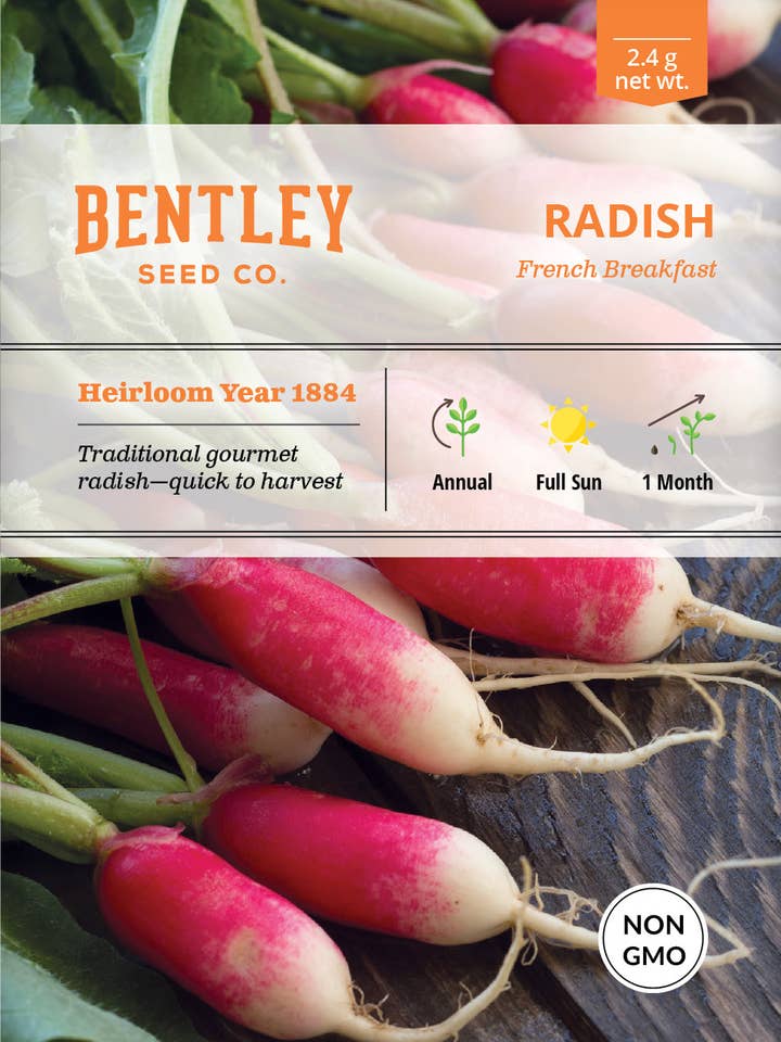 Radish-French Breakfast for wholesale by Bentley Seed Co.