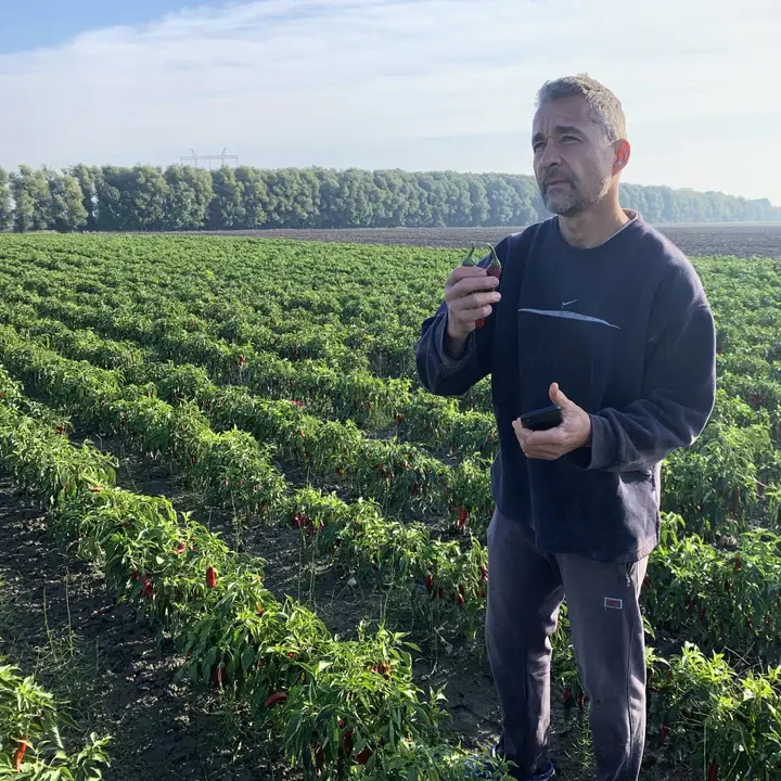 Burlap & Barrel - Wholesale Dried Spice - Szegedi 178 Hot Paprika - Single Origin Spice & Seasoning1