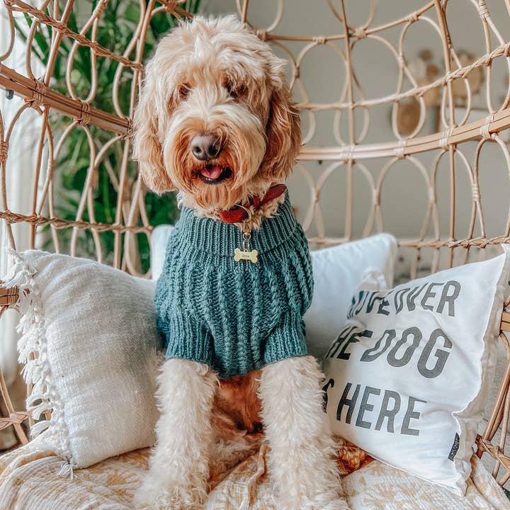 SASSY WOOF - Wholesale Pet Sweater - Dog - Pet Cable Knit Sweater - Dark Green4