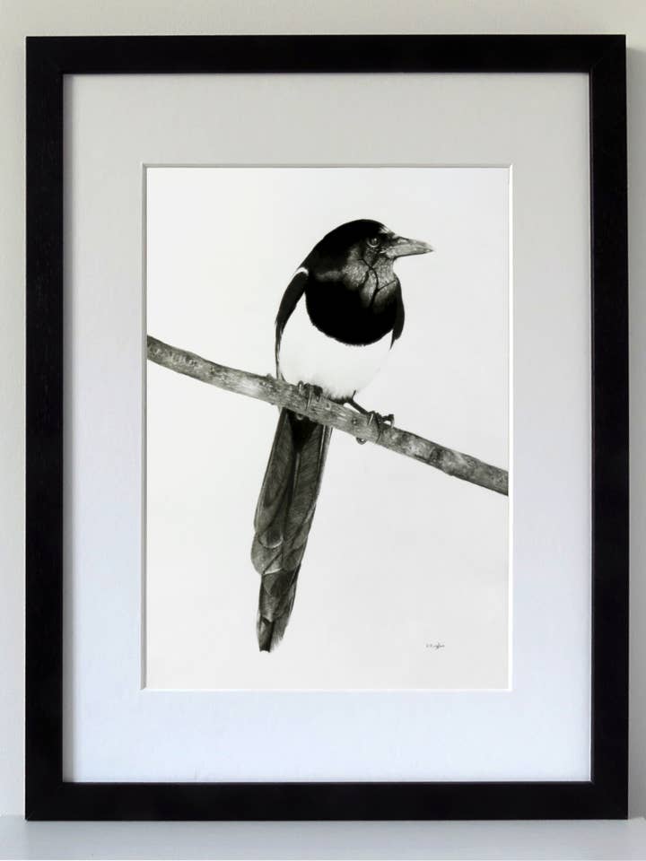 Magpie Wall Art Print in a Black Frame, Ready to Hang for wholesale by Drawing In Dark