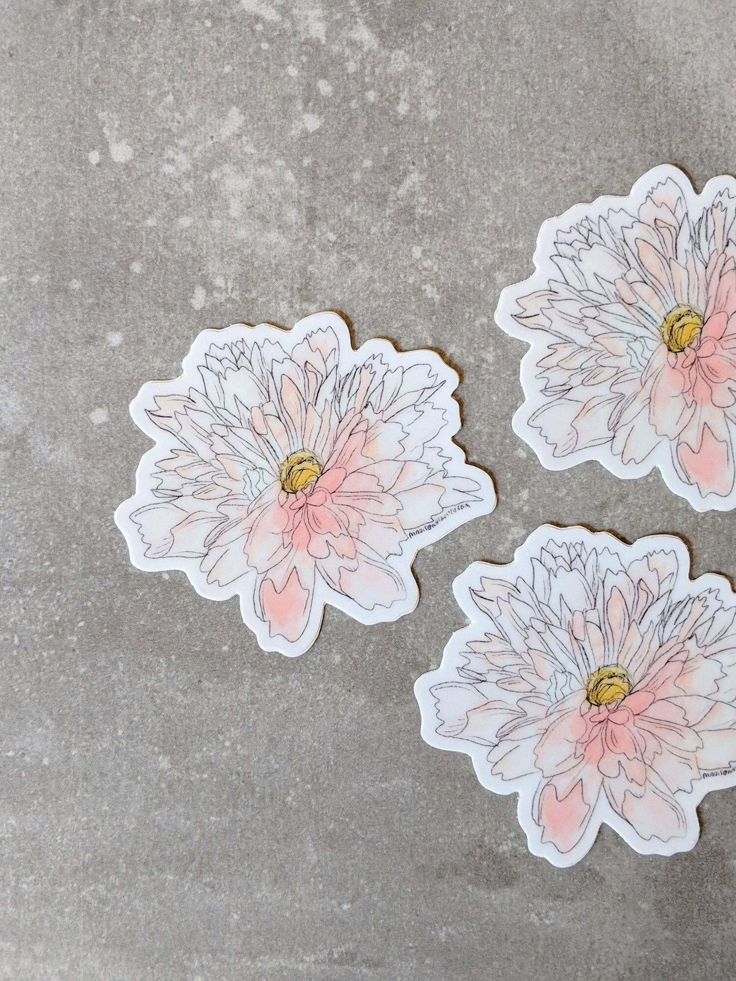 Beau Paper Co. – wholesale Klistermärke – Dahlia blomma skiss klistermärke1