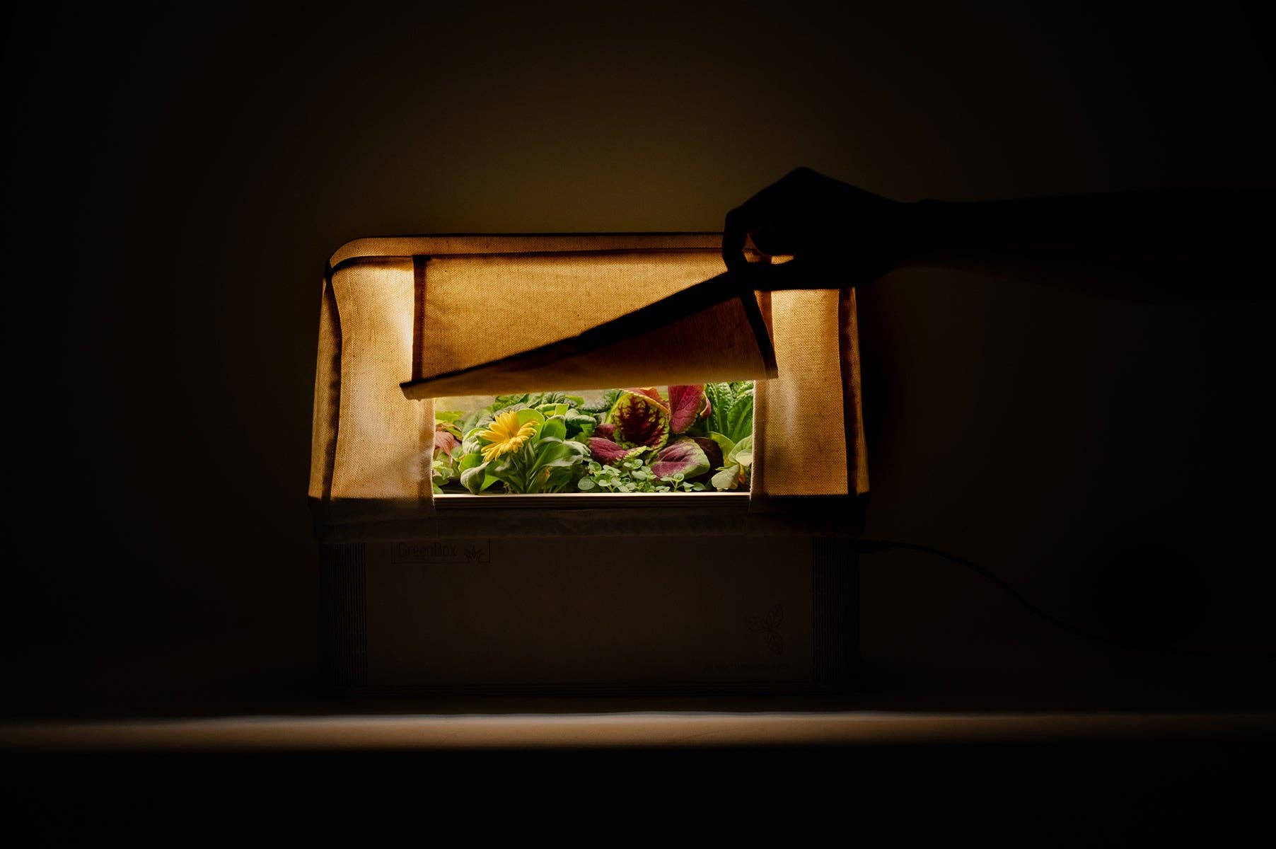 BerlinGreen - Venta al por mayor Macetas - Tiendas Greenbox para plantas con pantalla difusora de luz5