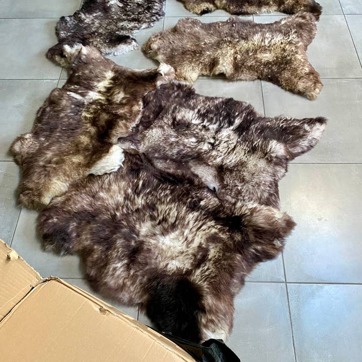 Natuurvachten.nl - Vendita all'ingrosso Tappeto - Pelli di montone mouflon1