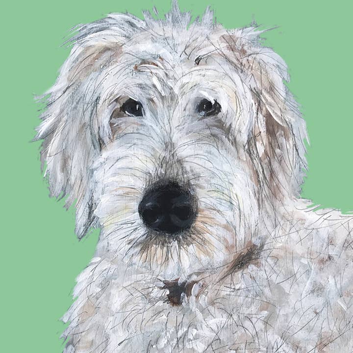 Carte Billy per la vendita all'ingrosso da parte di Print Circus