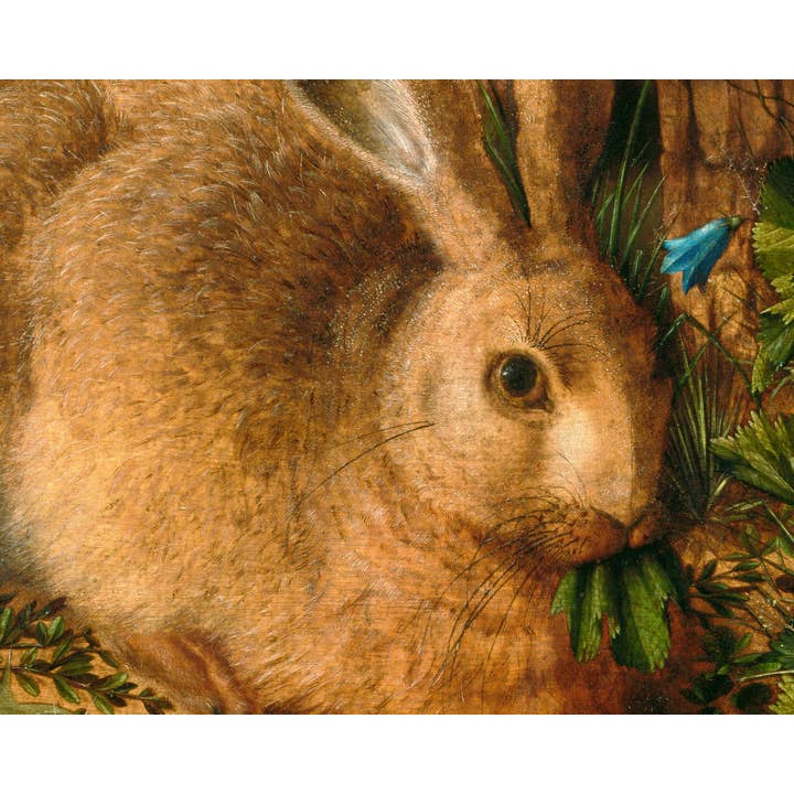 Rock Paper Scissors Wall Art - Wholesale Art Print - Woodland animal art | A Hare in the Forest | Enchanted forest | Vintage nature wall art | Rabbit, flowers, butterfly, bird, snail, lizard