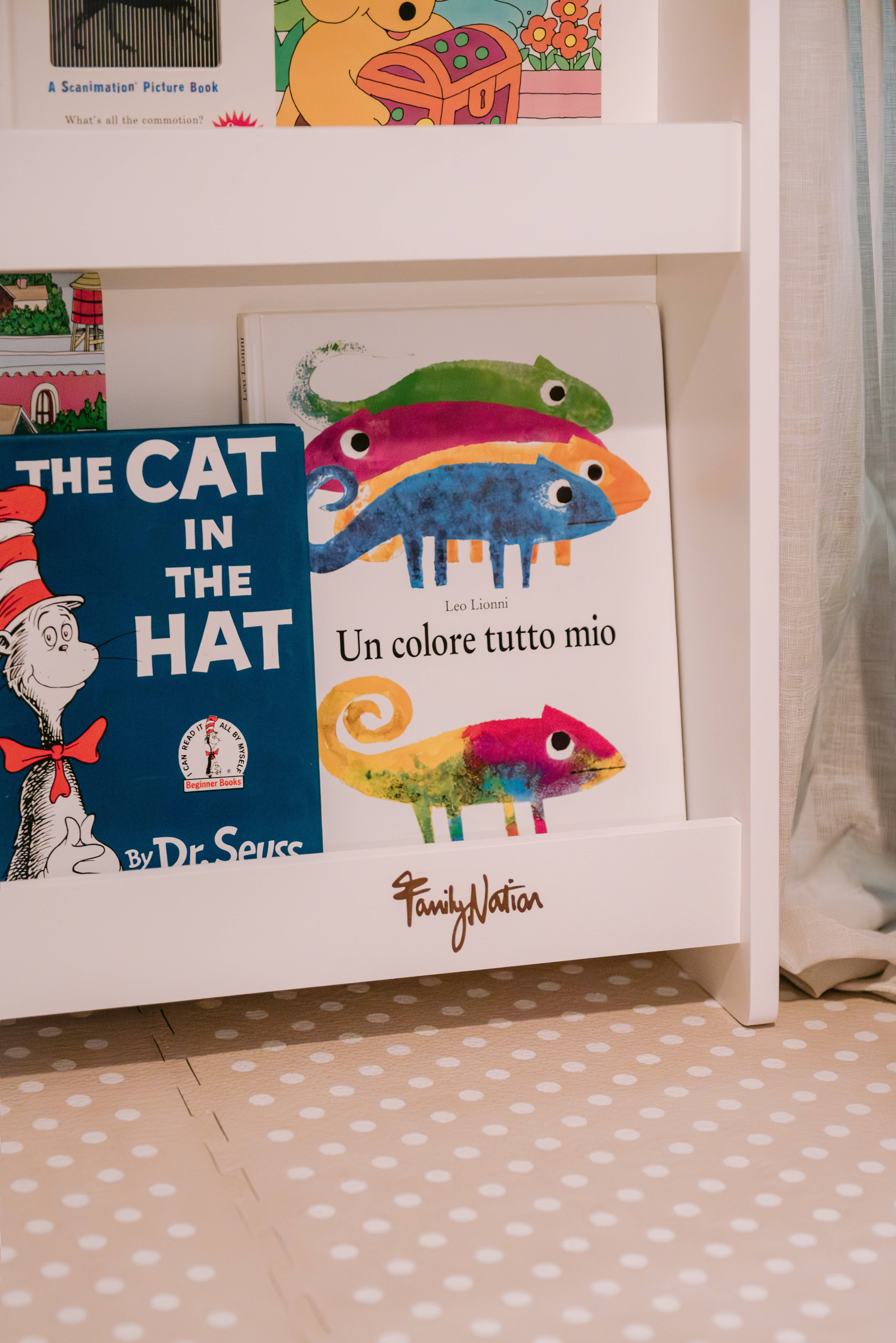 Family Nation - Wholesale Bookcase - Montessori Rainbow Front-Facing Bookshelf 5